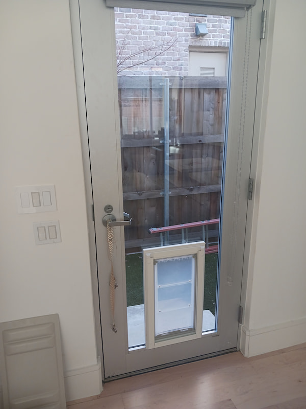 Window glass replacement project 6
